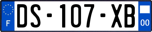 DS-107-XB