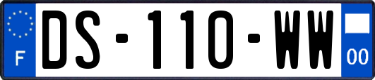 DS-110-WW