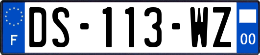 DS-113-WZ