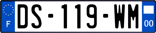 DS-119-WM