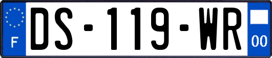 DS-119-WR