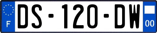 DS-120-DW