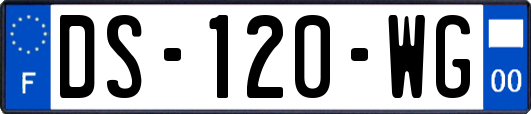 DS-120-WG