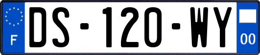 DS-120-WY