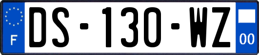 DS-130-WZ