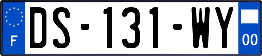 DS-131-WY