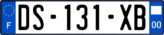 DS-131-XB