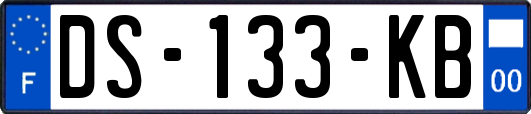 DS-133-KB