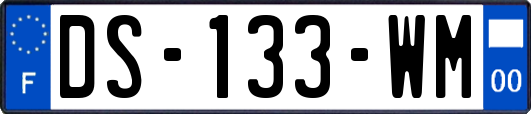 DS-133-WM