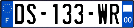DS-133-WR