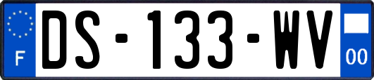 DS-133-WV