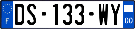 DS-133-WY
