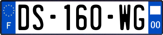 DS-160-WG