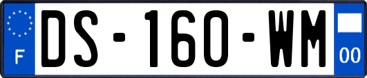 DS-160-WM