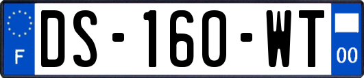 DS-160-WT
