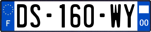 DS-160-WY