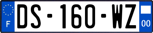 DS-160-WZ
