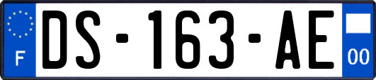 DS-163-AE