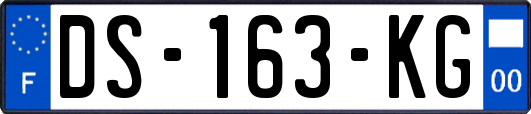 DS-163-KG