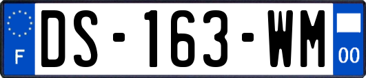 DS-163-WM