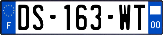 DS-163-WT