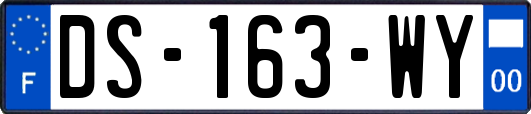 DS-163-WY