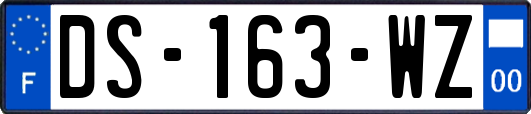 DS-163-WZ