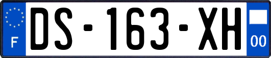DS-163-XH