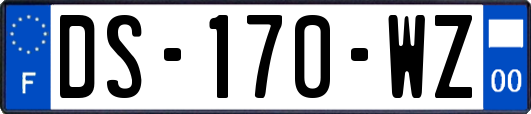 DS-170-WZ