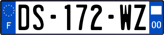 DS-172-WZ