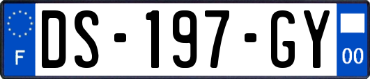 DS-197-GY