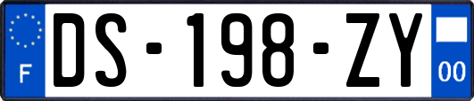 DS-198-ZY