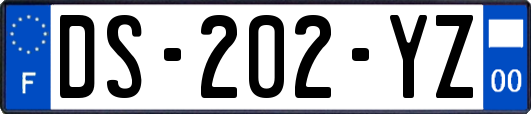 DS-202-YZ