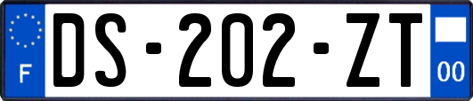 DS-202-ZT