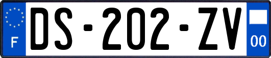 DS-202-ZV