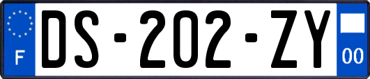 DS-202-ZY