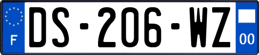 DS-206-WZ
