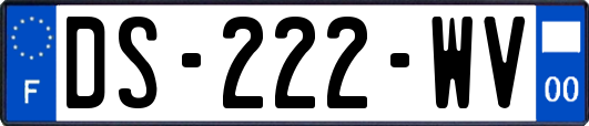 DS-222-WV