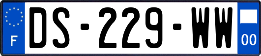 DS-229-WW