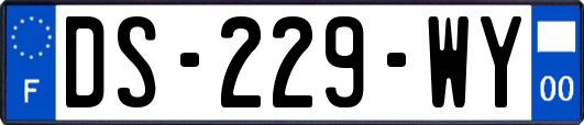 DS-229-WY