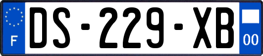 DS-229-XB