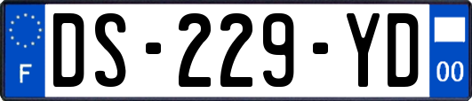 DS-229-YD
