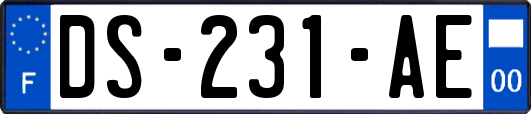 DS-231-AE