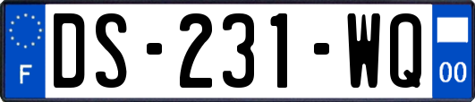 DS-231-WQ