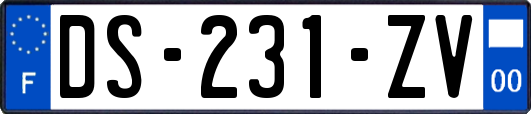 DS-231-ZV