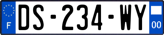 DS-234-WY