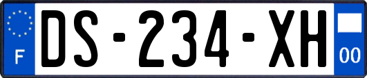 DS-234-XH