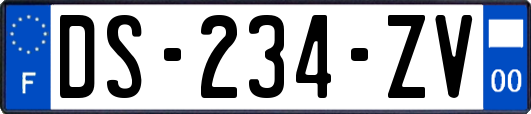 DS-234-ZV