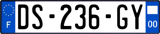 DS-236-GY