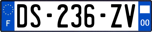 DS-236-ZV
